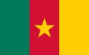 cameroon flag